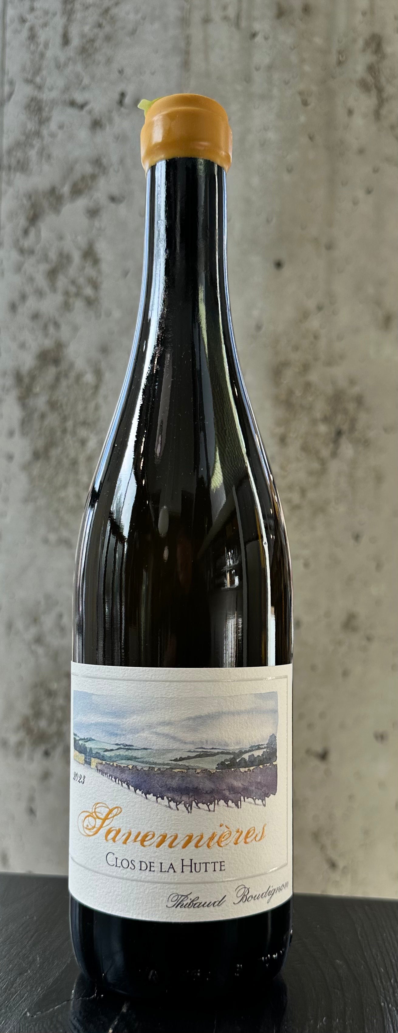 Thibaud Boudignon Savennières "Clos de la Hutte" '23