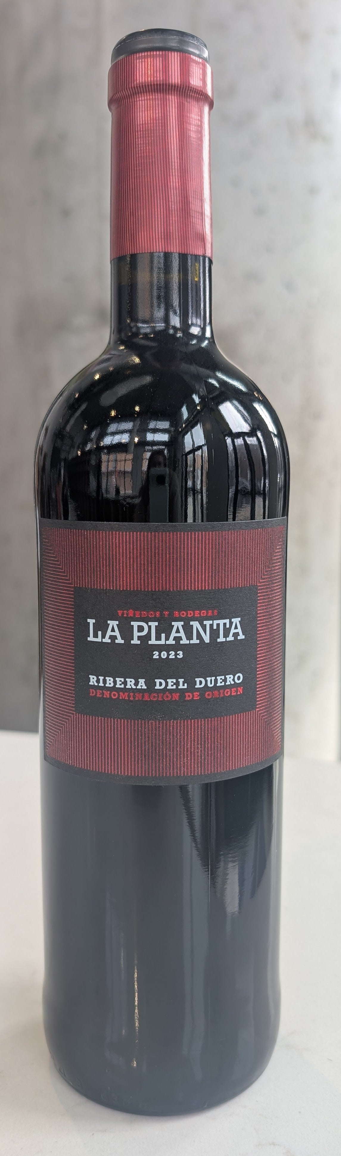 La Planta Ribera del Duero '23