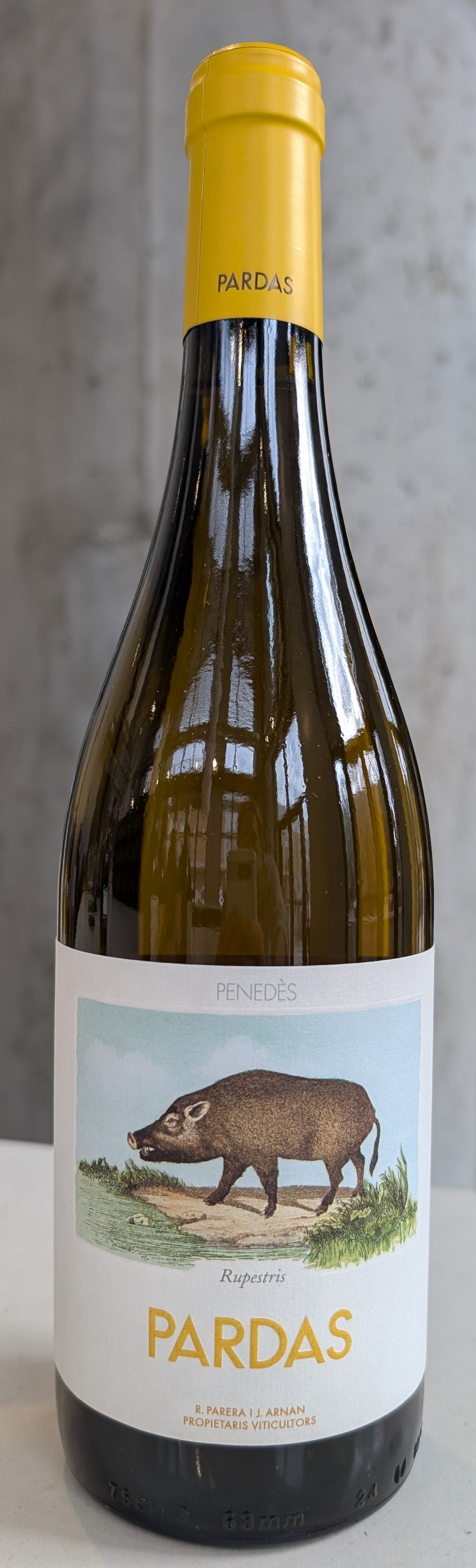 Celler Pardas "Rupestris" '23