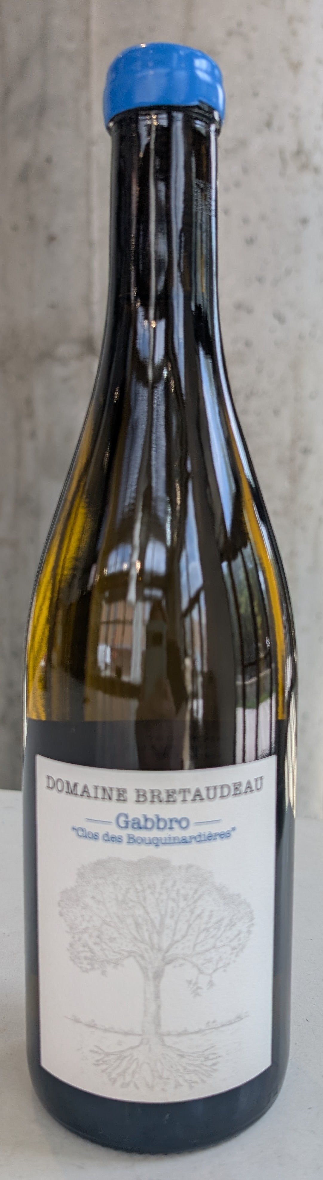 Jérôme Bretaudeau "Clos de Bouquinardières" Gabbro Muscadet '23