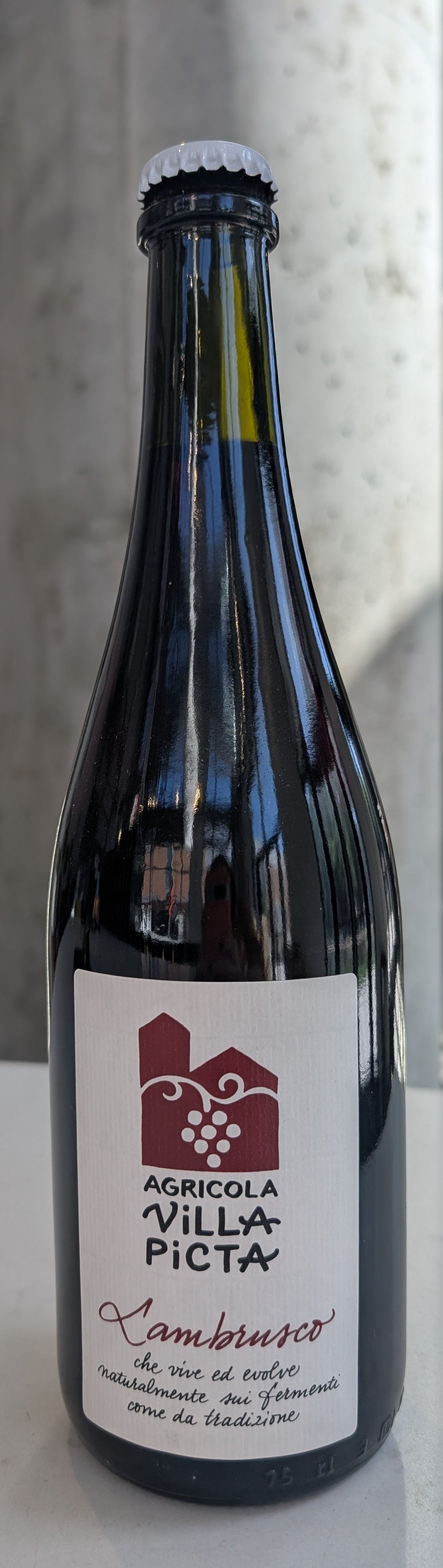 Villa Picta Lambrusco Mantovano '22