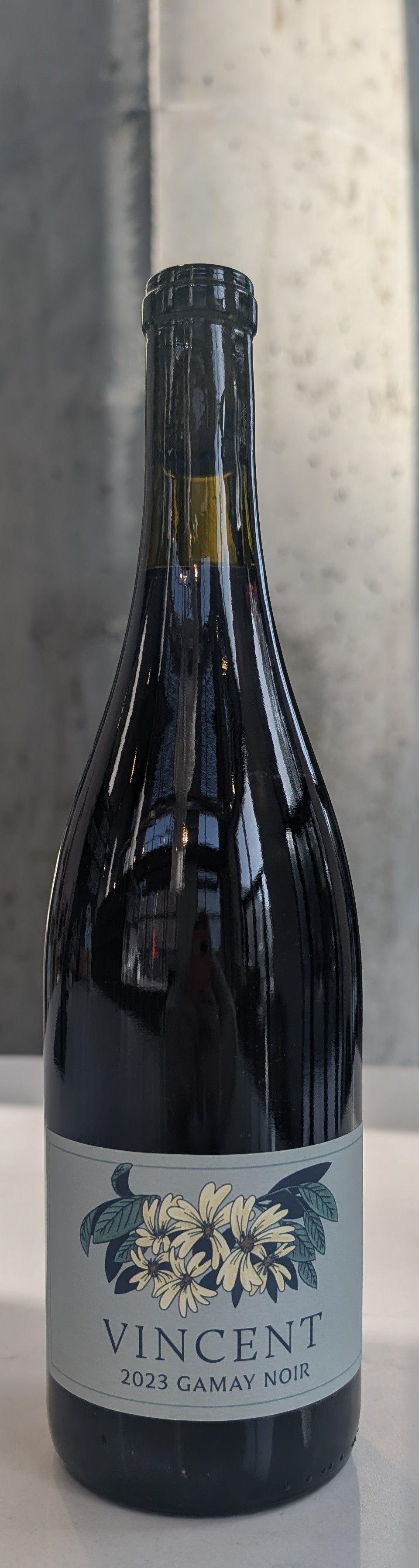 Vincent Gamay Noir, Willamette Valley '23