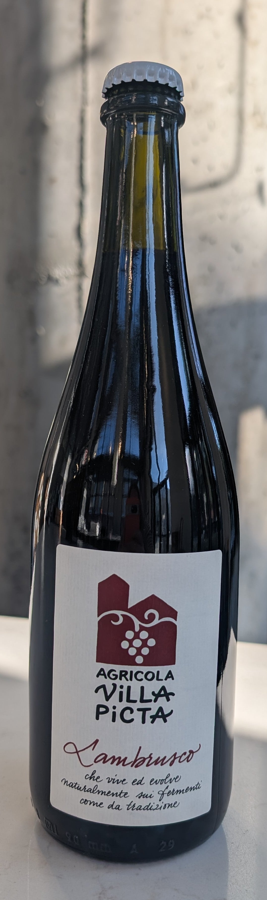 Villa Picta Lambrusco "Mantovano" '24