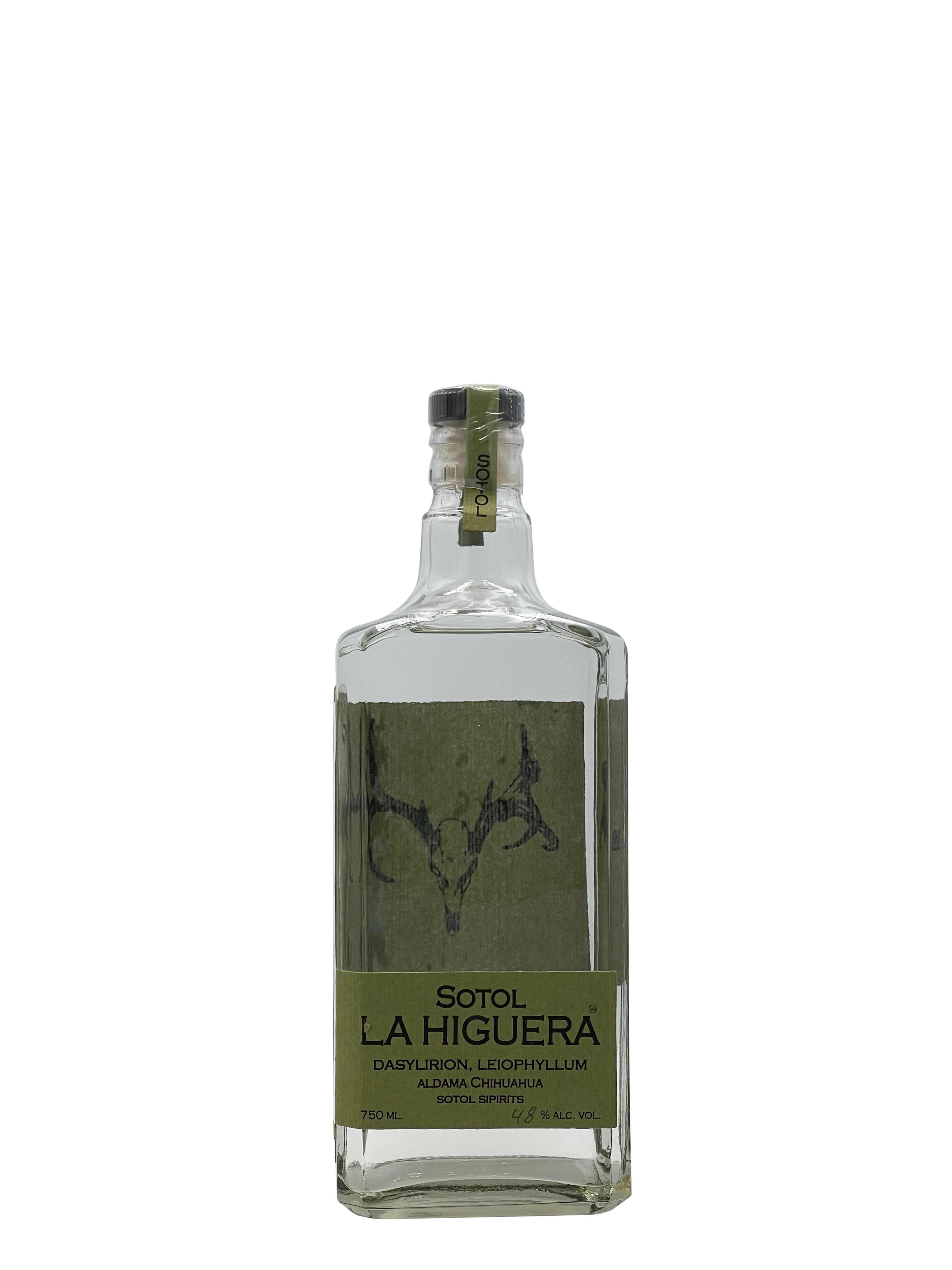 Sotol La Higuera "Leiophyllum," Chihuahua